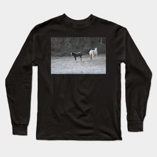 Wild Horse Foal Long Sleeve T-Shirt